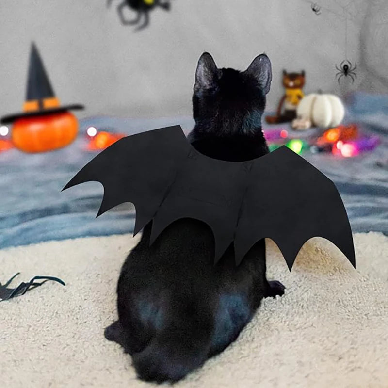 Adjustable Pet Bat Wings Costume for Dogs & Cats | FurvioShop