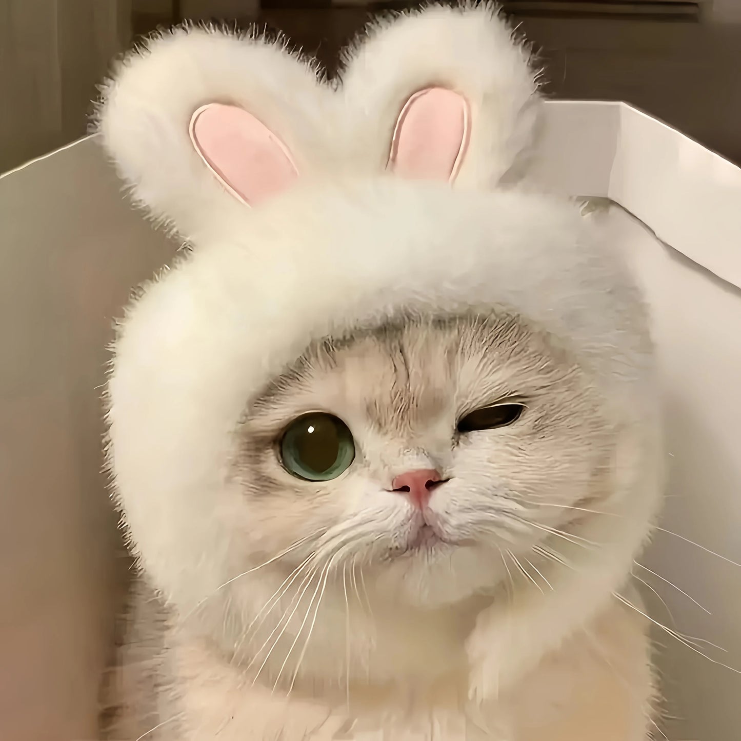 Fluffy Bunny Ears Cat Hat & Small Dog Costume | FurvioShop