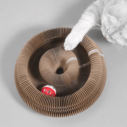 Transformable accordion cat scratcher and ball track by Furvio Shop, featuring colorful, foldable design with scratching surfaces and ball toys.