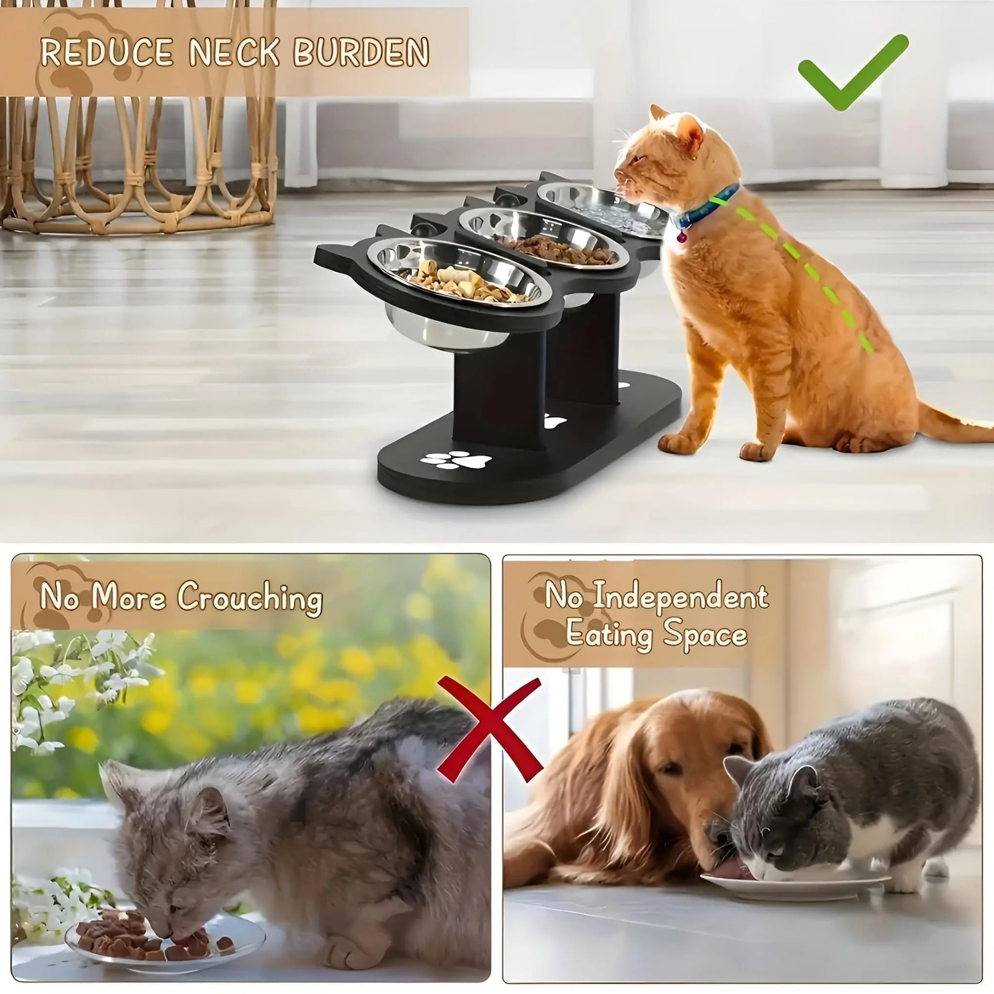 Elevated triple stainless steel cat bowl set by Furvio Shop with three bowls on a raised stand for easy feeding.