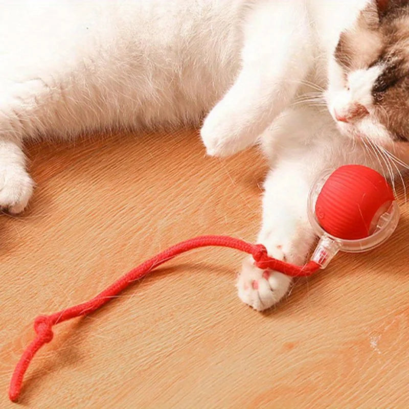 Smart interactive rolling cat ball with tail from Furvio Shop, featuring colorful design and motion-activated play for cats.