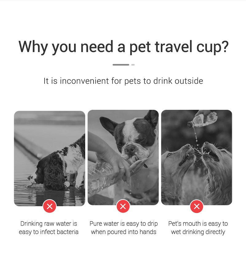 Portable Leakproof Dog Water Bottle Travel Dispenser | FurvioShop