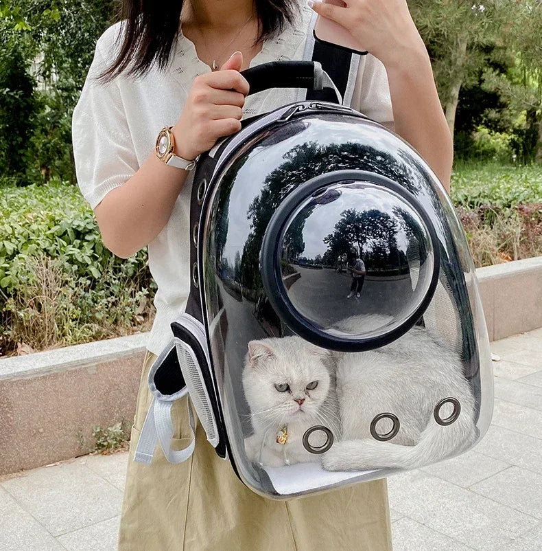 Transparent space capsule pet backpack by Furvio Shop showing a clear, portable carrier for small pets with adjustable straps.