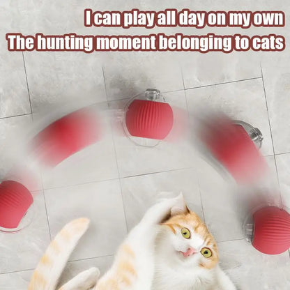 Smart interactive rolling cat ball with tail from Furvio Shop, featuring colorful design and motion-activated play for cats.
