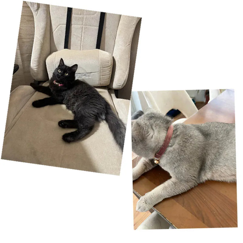Luxurious velvet cat collar with a bow tie from Furvio Shop, featuring a soft velvet strap and elegant bow detail.