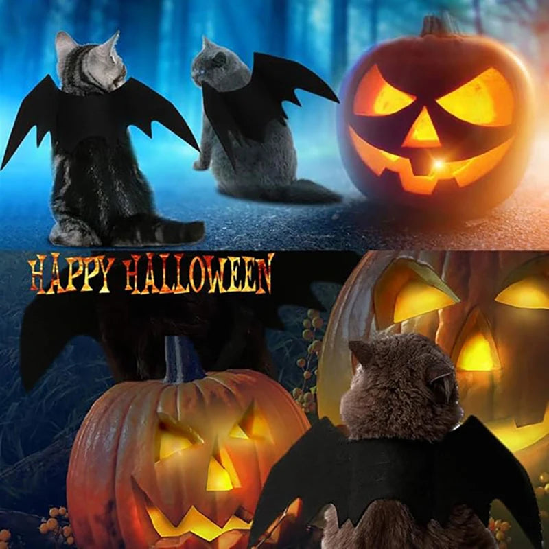Adjustable Pet Bat Wings Costume for Dogs & Cats | FurvioShop