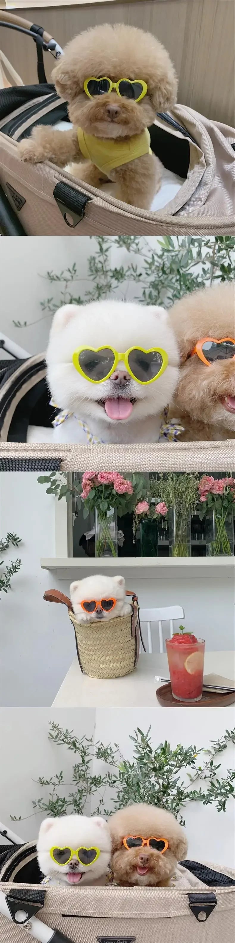 Heart-Shaped Pet Sunglasses for Dogs & Cats | FurvioShop