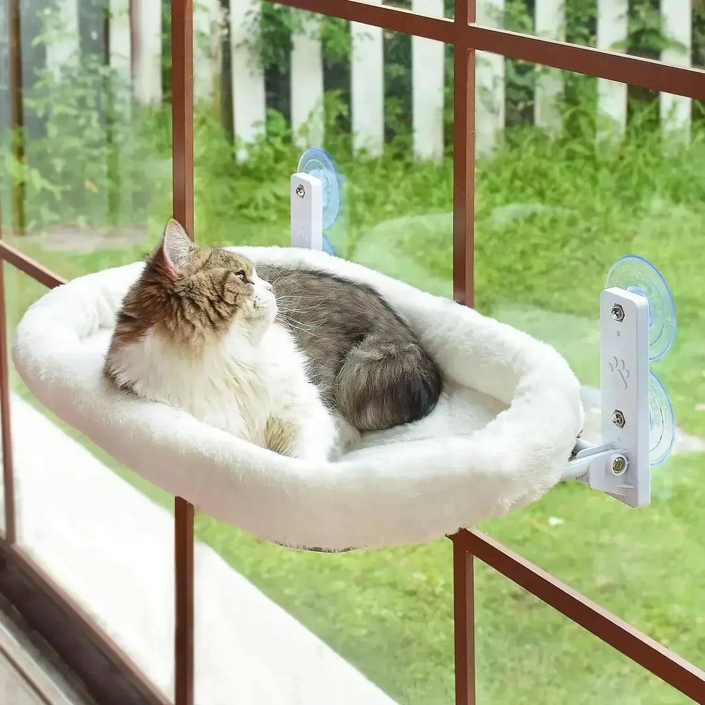 Furvio Shop cordless window cat hammock and sunbed hanging securely for cats to relax and enjoy the sunlight.