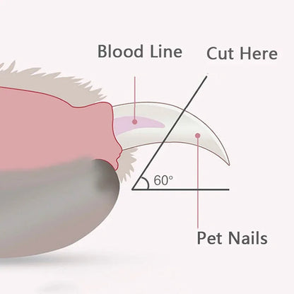 Furvio Shop illuminating LED pet nail clippers with ergonomic handle and built-in LED light for precise nail trimming on pets
