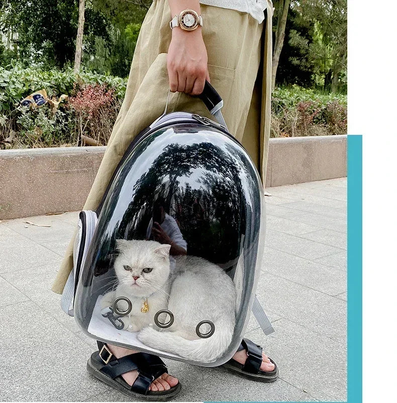 Transparent space capsule pet backpack by Furvio Shop showing clear plastic design and adjustable straps for comfortable pet carrying.