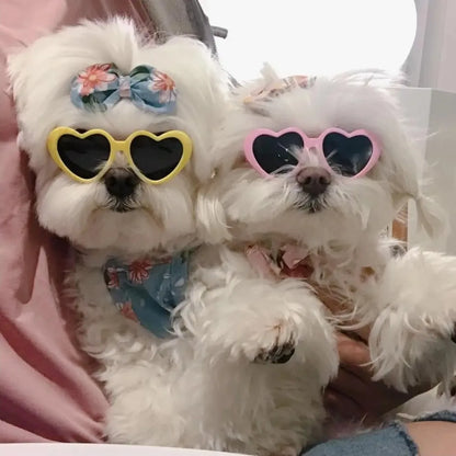 Heart-Shaped Pet Sunglasses for Dogs & Cats | FurvioShop
