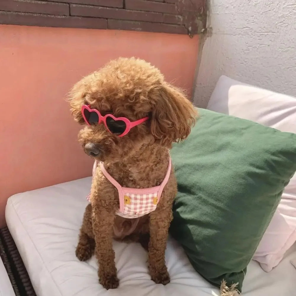 Heart-Shaped Pet Sunglasses for Dogs & Cats | FurvioShop