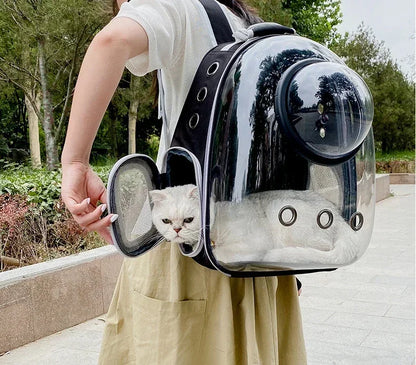 Transparent space capsule pet backpack by Furvio Shop showing a clear plastic design with adjustable straps and ventilation for pets.