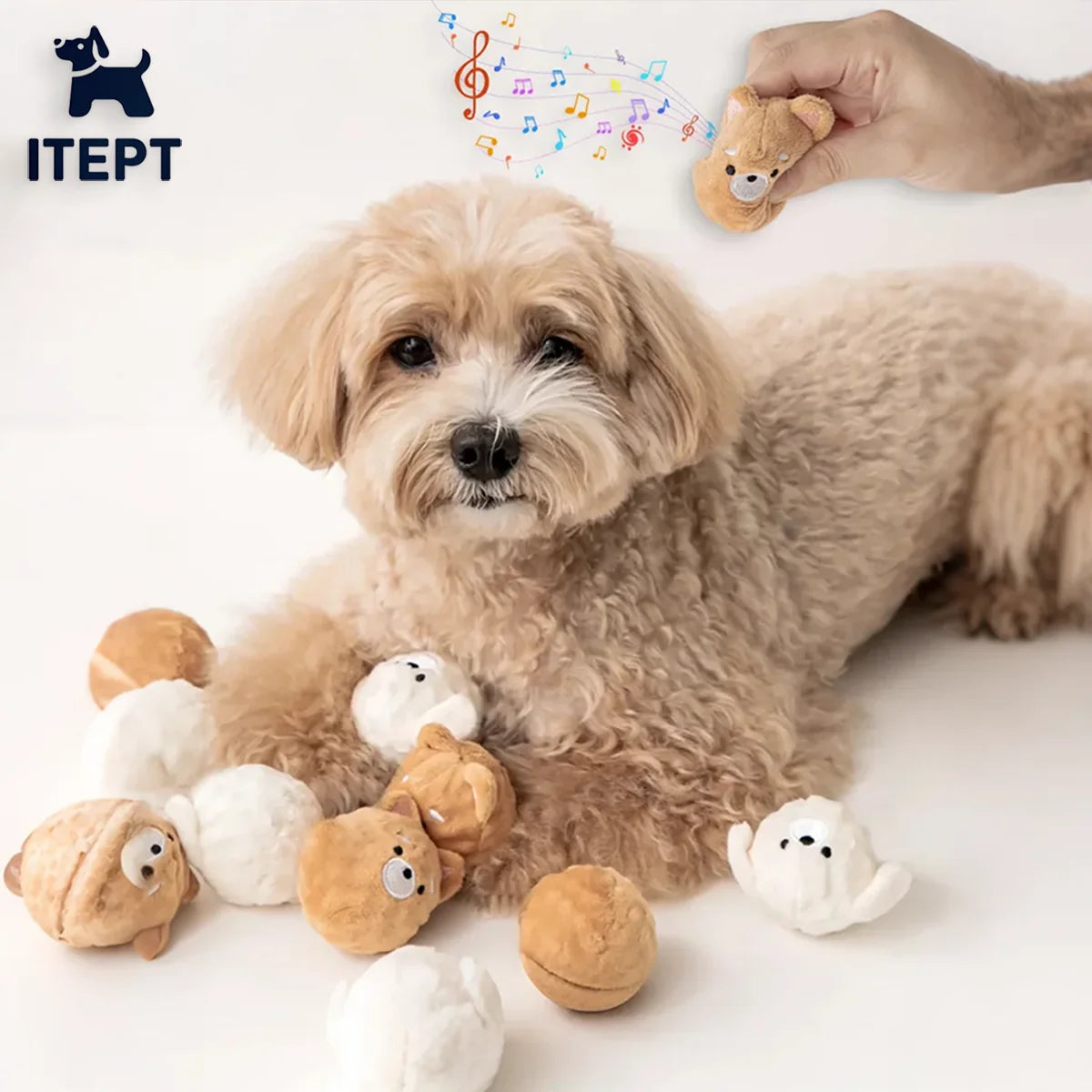 Squeaky Plush Puppy Ball Dog Toy | FurvioShop