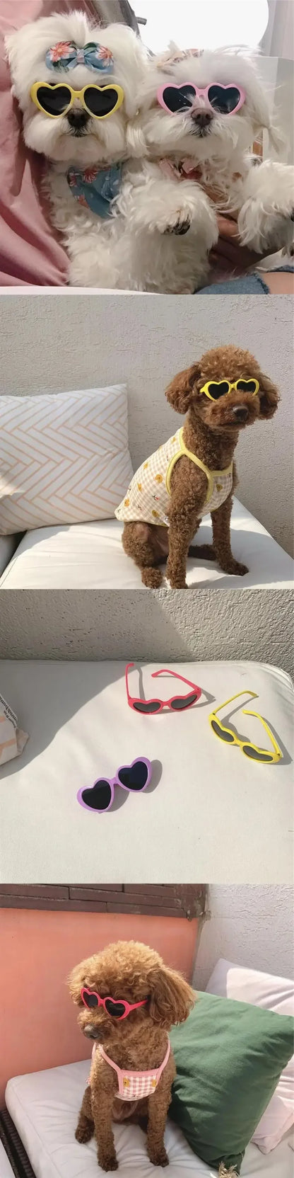 Heart-Shaped Pet Sunglasses for Dogs & Cats | FurvioShop