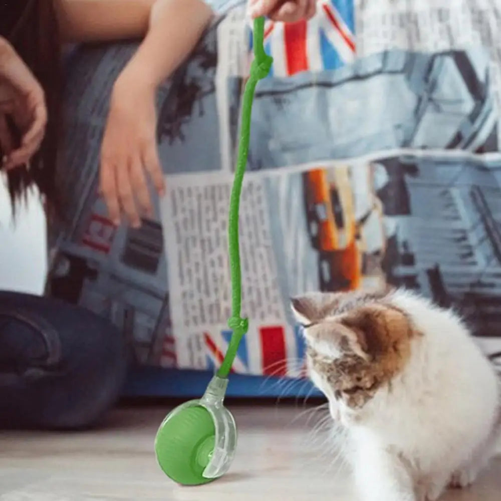 Furvio Shop smart interactive rolling cat ball with tail, colorful toy designed to entertain cats and promote active play.