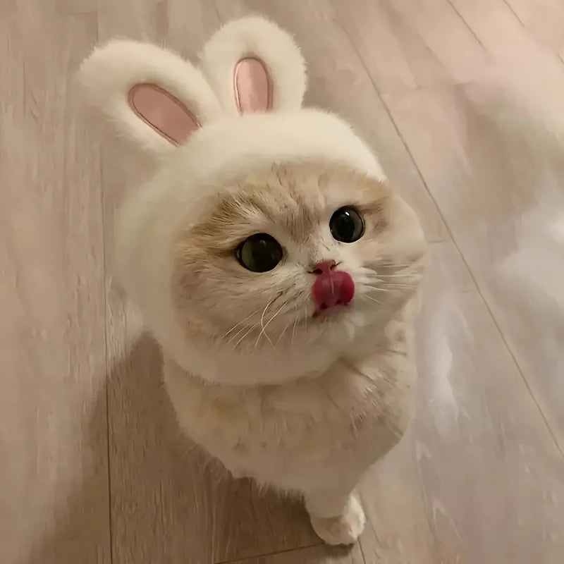Fluffy Bunny Ears Cat Hat & Small Dog Costume | FurvioShop