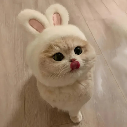 Fluffy Bunny Ears Cat Hat & Small Dog Costume | FurvioShop