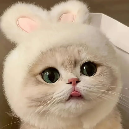 Fluffy Bunny Ears Cat Hat & Small Dog Costume | FurvioShop