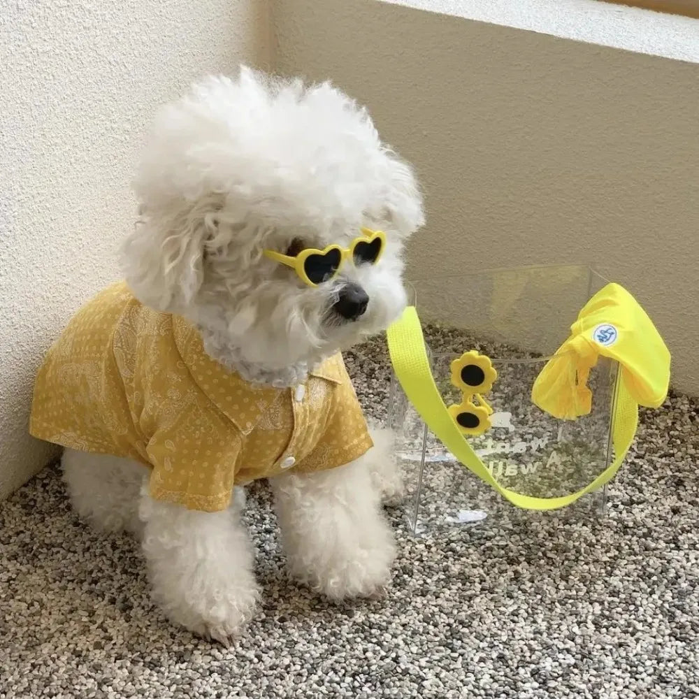 Heart-Shaped Pet Sunglasses for Dogs & Cats | FurvioShop