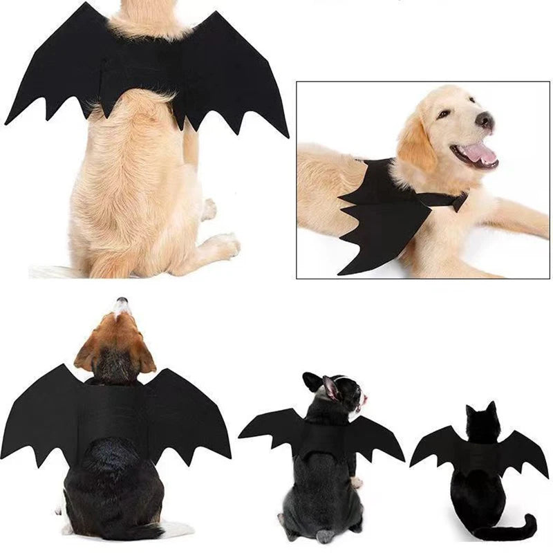 Adjustable Pet Bat Wings Costume for Dogs & Cats | FurvioShop
