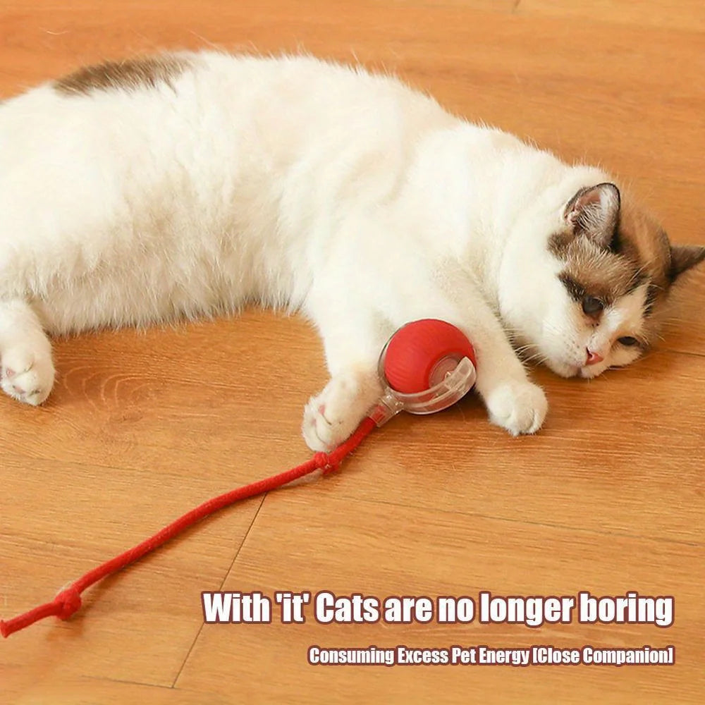 Smart interactive rolling cat ball with tail by Furvio Shop, featuring colorful spinning design and motion-activated play for cats