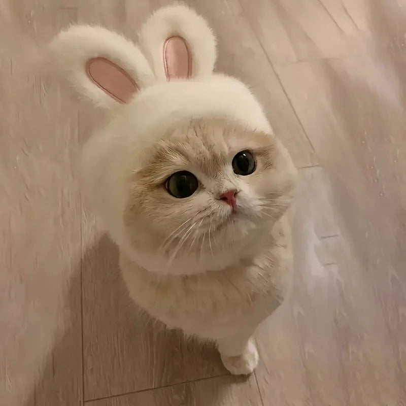 Fluffy Bunny Ears Cat Hat & Small Dog Costume | FurvioShop