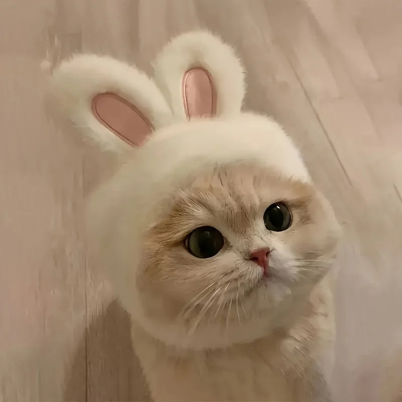 Fluffy Bunny Ears Cat Hat & Small Dog Costume | FurvioShop