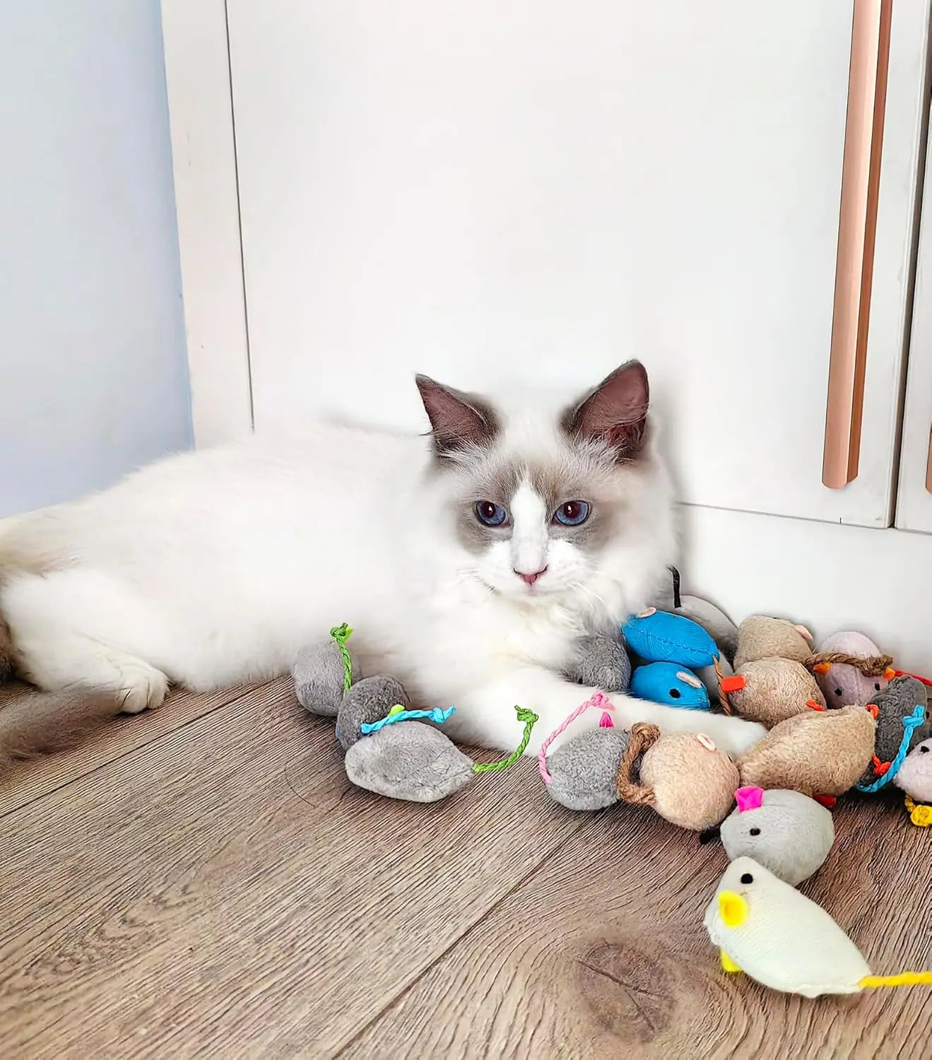 Interactive Plush Catnip Mouse Toys | FurvioShop