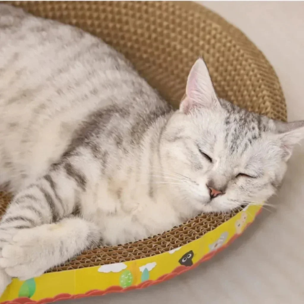 Oval corrugated cat scratcher and lounge bed by Furvio Shop, featuring a cozy, textured surface for scratching and relaxing.