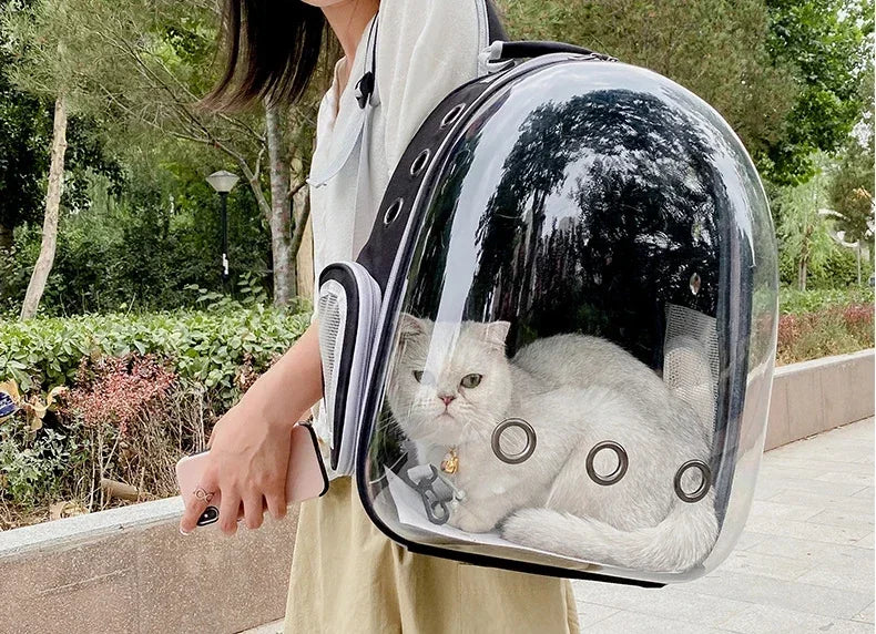 Transparent space capsule pet backpack by Furvio Shop showing clear plastic design with adjustable straps for small pets.