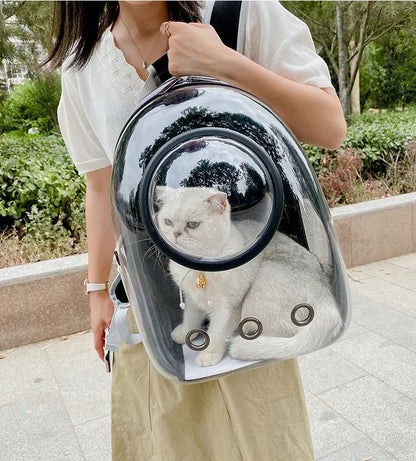 Transparent space capsule pet backpack by Furvio Shop with clear view for pets and comfortable carrying design.