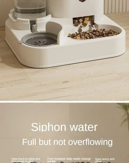 Furvio Shop 2-in-1 automatic pet feeder and water dispenser with digital controls and stainless steel bowls for pets.