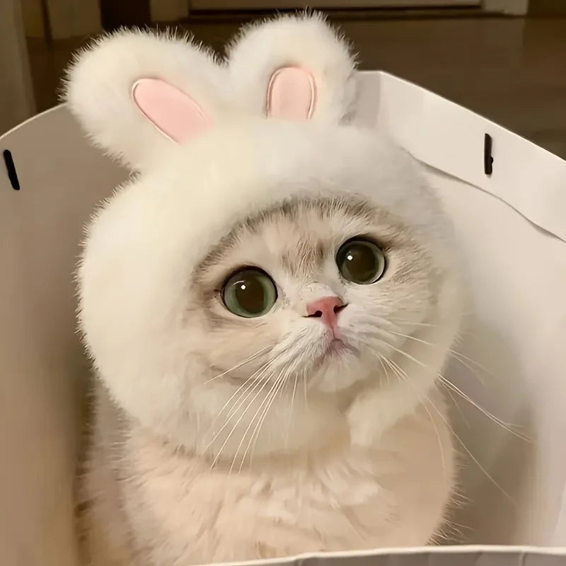Fluffy Bunny Ears Cat Hat & Small Dog Costume | FurvioShop