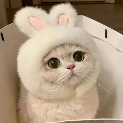 Fluffy Bunny Ears Cat Hat & Small Dog Costume | FurvioShop