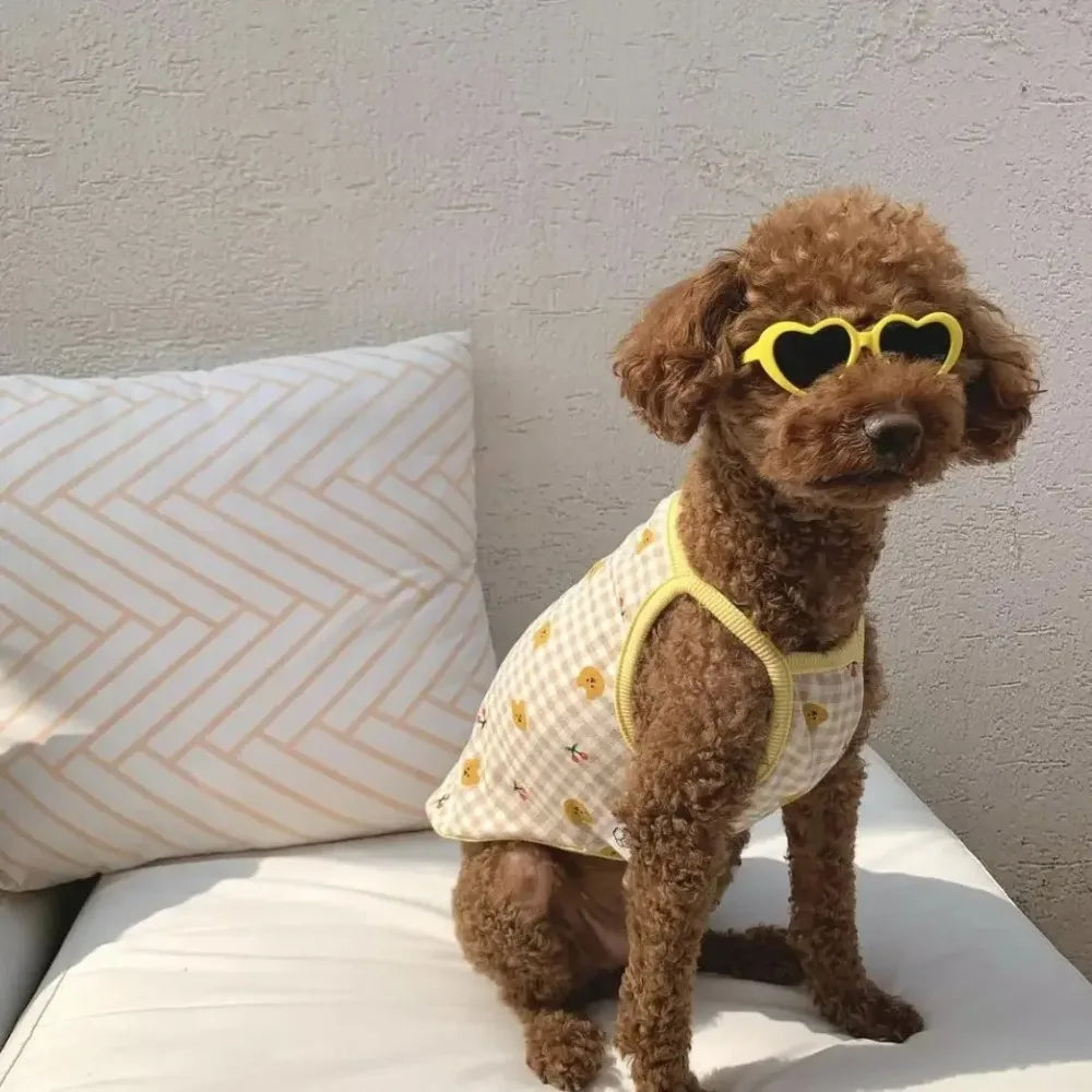Heart-Shaped Pet Sunglasses for Dogs & Cats | FurvioShop