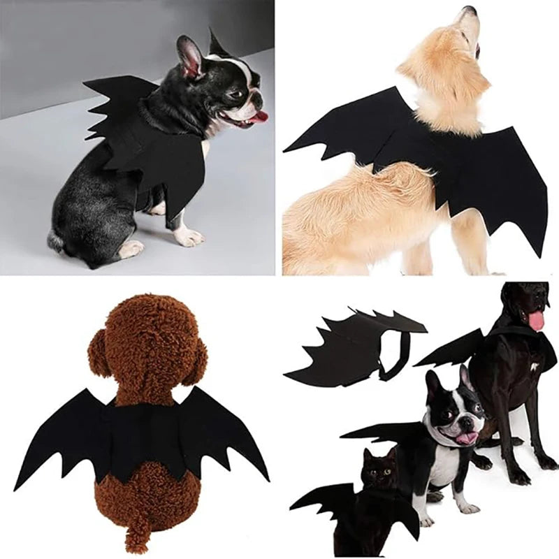 Adjustable Pet Bat Wings Costume for Dogs & Cats | FurvioShop