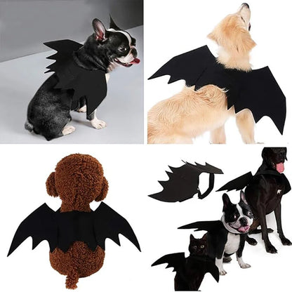 Adjustable Pet Bat Wings Costume for Dogs & Cats | FurvioShop