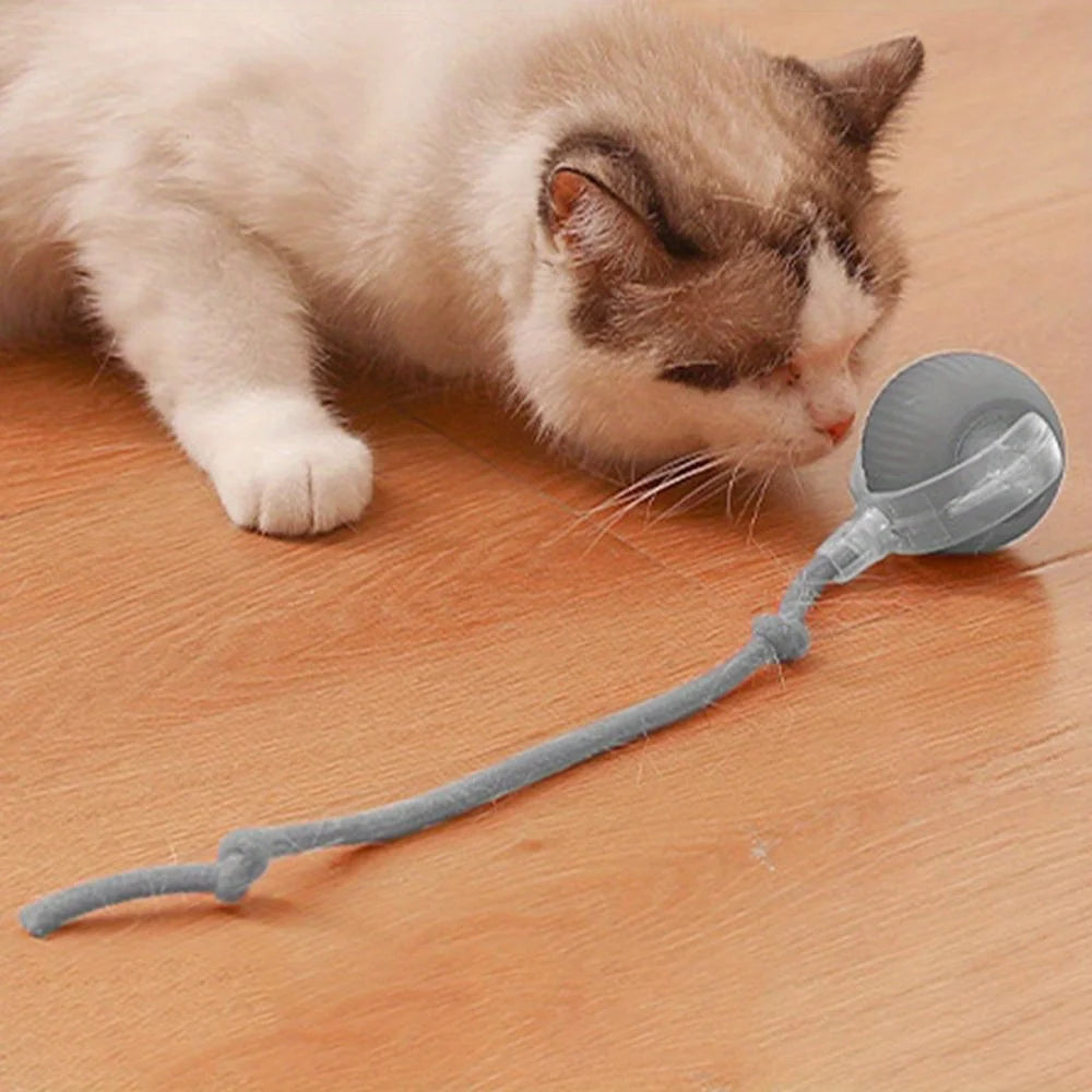 Smart interactive rolling cat ball with tail by Furvio Shop, featuring vibrant colors and a playful design for feline entertainment.