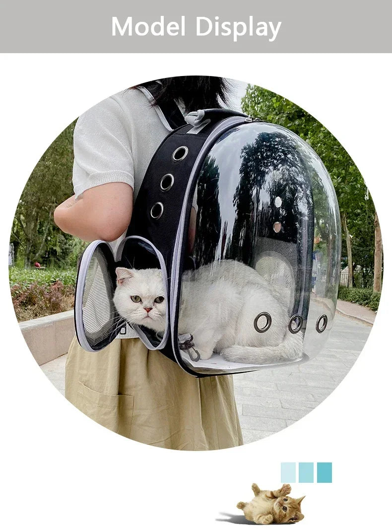 Transparent space capsule pet backpack by Furvio Shop showing a clear, lightweight design with a space-themed exterior and adjustable straps.